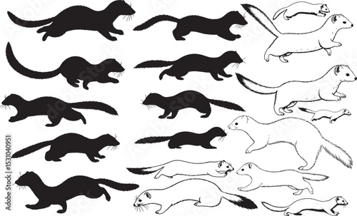 Stoat Silhouettes – Solid Black & Outline Vector Set