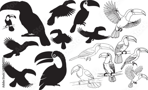 Toucan Silhouettes – Solid Black & Outline Vector Set