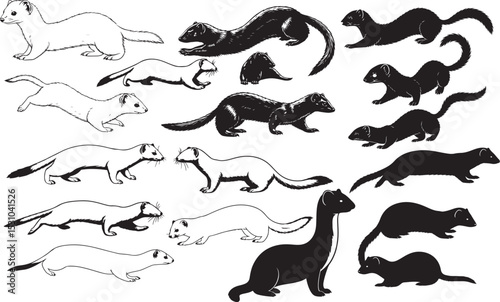 Weasel Silhouettes – Solid Black & Outline Vector Set