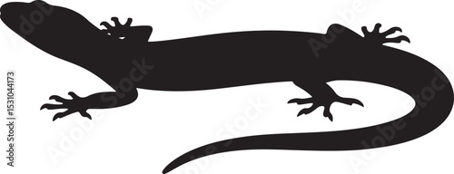 silhouette of a lizard