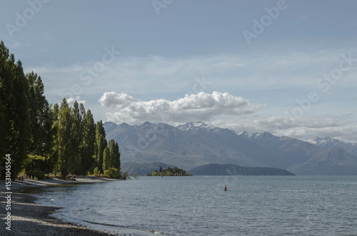 Trees lining the lakeshore in Wanaka New Zealand.