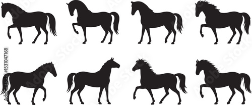 Herd of horses gallops fast. Image silhouette. Wild and domestic animals. Isolated on white background. Vector