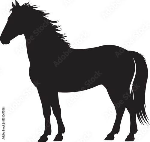 Herd of horses gallops fast. Image silhouette. Wild and domestic animals. Isolated on white background. Vector