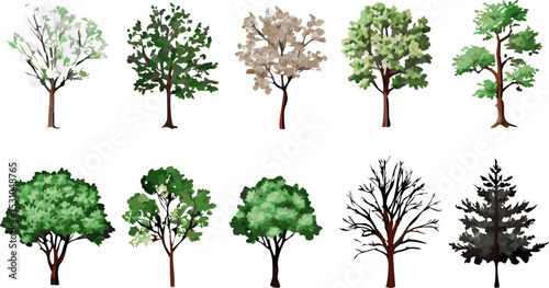 Flat Tree Illustrations with Transparent Background
