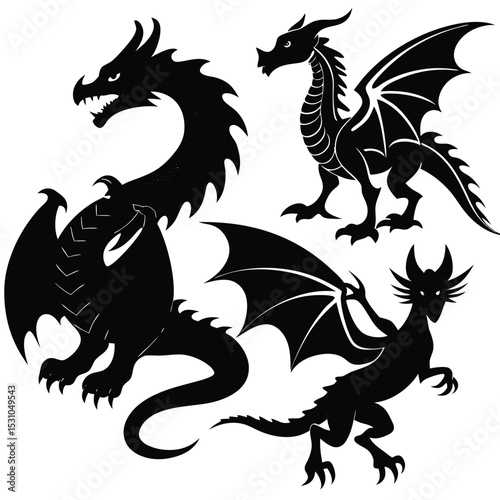 Types of Dragons Vector Collection