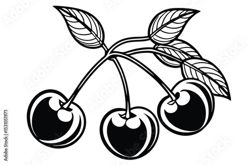 Elegant black and white illustration of ripe cherries with stems and leaves perfect for various designs