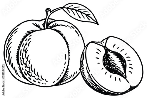 Detailed black and white illustration of a whole plum next to a halved plum fruit with a leaf
