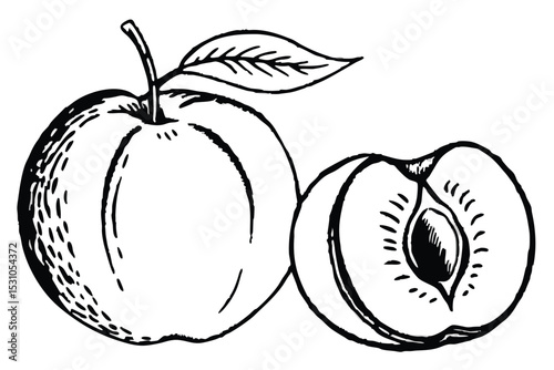 Detailed black and white line drawing of a whole plum with leaf and a plum halved showing the seed