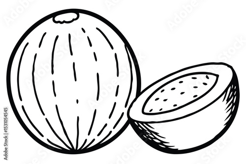 Hand drawn black and white illustration of a whole melon alongside a sliced melon showing the seeds.