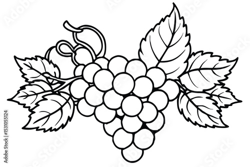 A detailed black and white illustration of a grape bunch with leaves perfect for various design applications