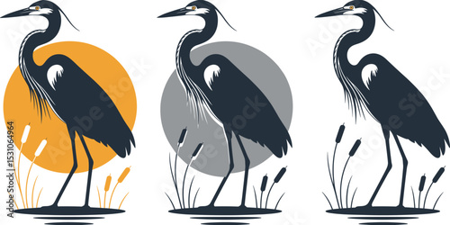 Elegant heron bird illustration, wetland wildlife design, vector graphic of great blue heron, nature silhouette with reeds, sun and moon background variations.