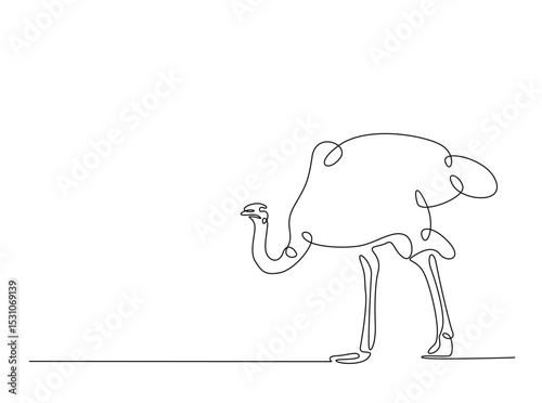 Ostrich bird single outline illustration. Continuous line art drawing of african ostrich. Editable stroke.