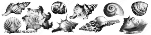 halftone seashell icon set. textured sea clam with trendy dotted effect. y2k stippling print for brutal design
