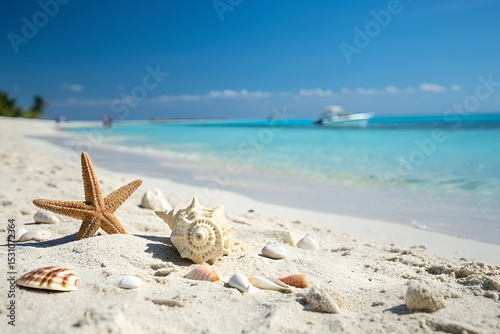 Serene Beach Scene Starfish, Seashells, and Turquoise Waters