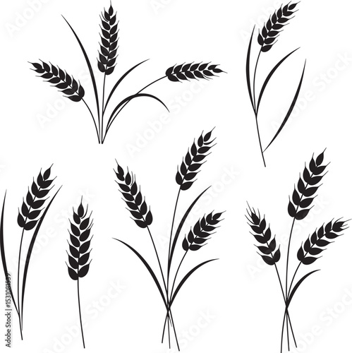 Wheat Stalk Silhouette Vector Set. Grain, Cereal, Harvest Icons for Bakery, Agriculture, Food Design.