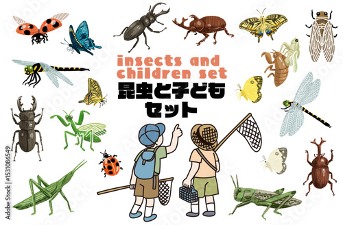 昆虫採集をする子どものベクターイラスト
