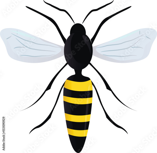 Bee insect isolated on white
