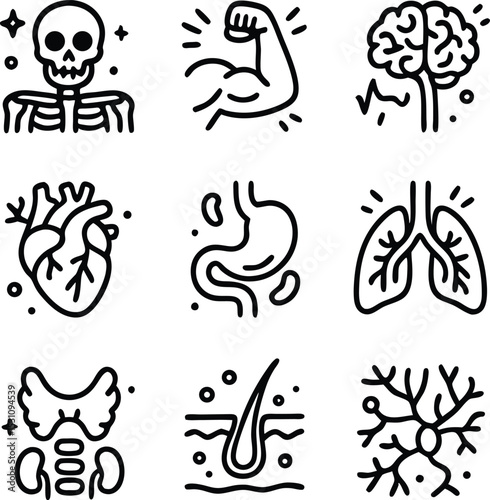 Comprehensive Human Anatomy Flat Icon Set for Medical and Educational Use