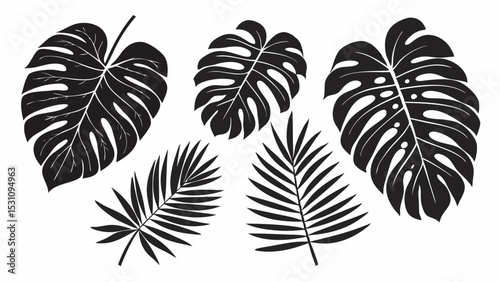 Collection of monochrome tropical leaves including monstera and palm leaves in a vector format | eps vectors silhouette