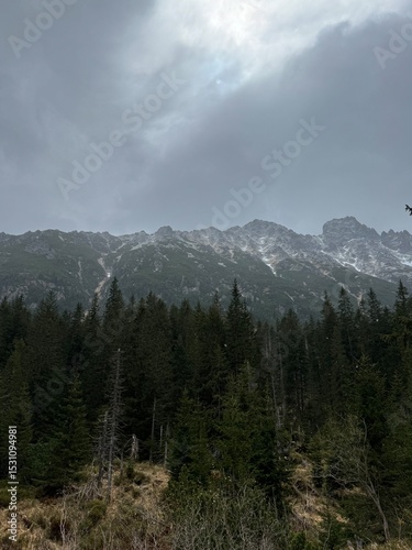 Fototapeta Naklejka Na Ścianę i Meble -  Foggy mountains view of a dense forest. Beautiful landscape from Carpathian Mountains in Poland. Darkness sky.