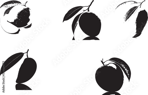 Mango silhouettes set on white background