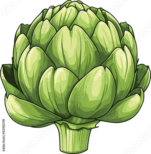 artichoke isolated on white