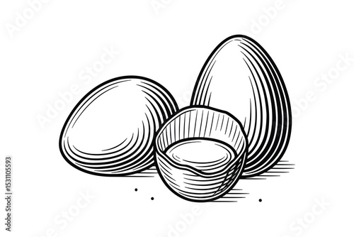 Detailed vector illustration featuring eggs and eggshell, perfect for food and cooking designs.