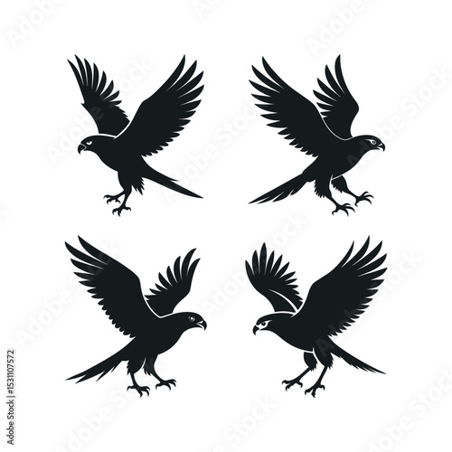 Four black silhouettes of a hawk in flight in a hunting moment