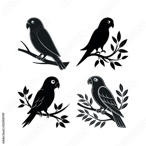 Four black silhouettes of lovebird parrots on branches