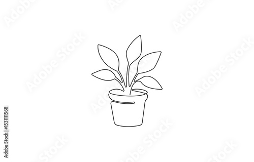 One line drawing of House plant in pot with color shapes. Continuous line hand drawn of Beautiful flower Isolated,  One line drawing of Living room with modern furniture. 