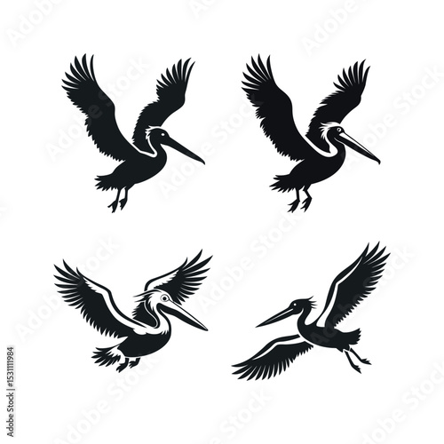 Four black silhouette pelicans in flight graphic design
