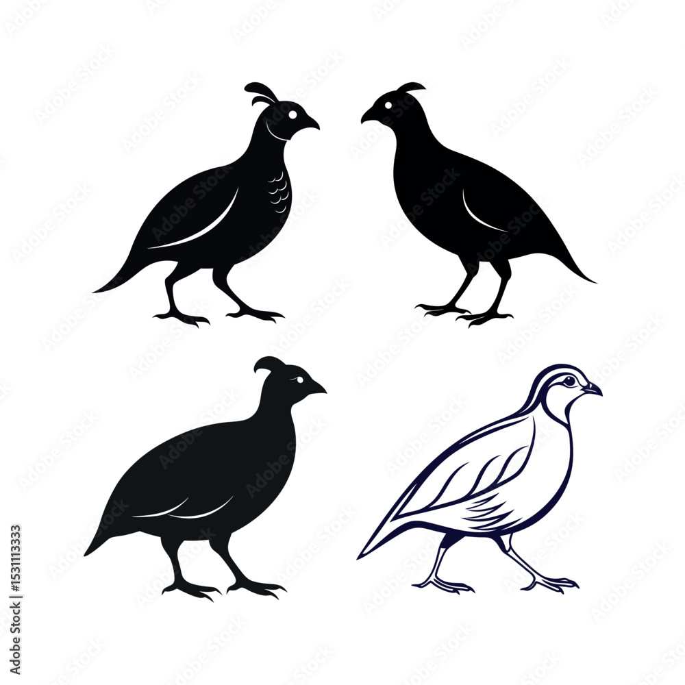 Fototapeta premium Four quail bird silhouettes black and white illustrations