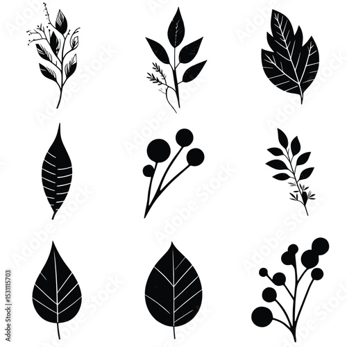 Black leaf vector set with natural and floral decorative elements