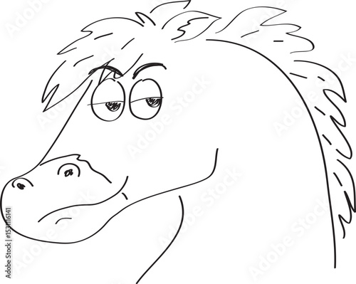 funny horse head looks slyly at the camera and grins, simple hand drawn illustration, painted with a black brush
