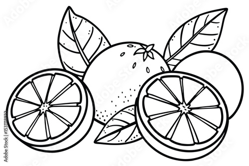 Black and white illustration of fresh oranges including whole fruits slices and green leaves for design elements