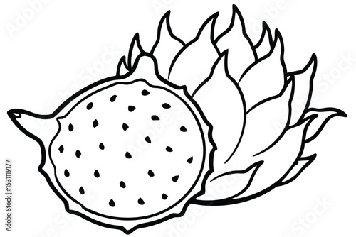 Detailed black and white drawing of a dragon fruit sliced open to show the inside with seeds