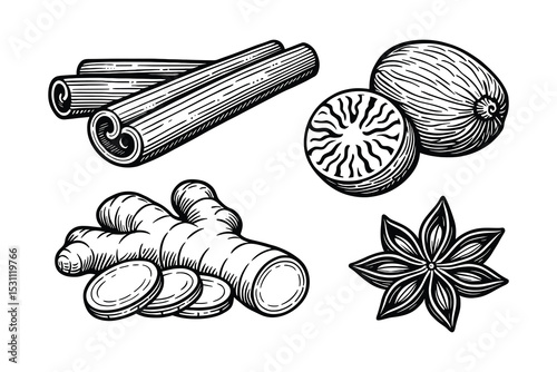 Vector illustration of spices cinnamon, nutmeg, ginger, and anise for culinary designs.