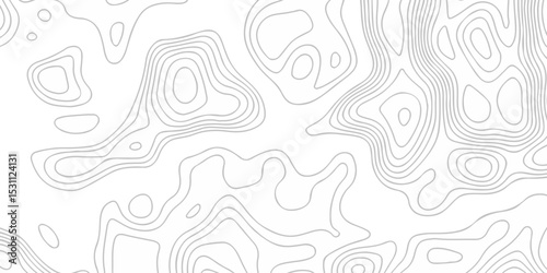 Topographic map lines contour background. Grid geographic relief topographic map pattern background vector. Vector seamless background topography stylized height of the lines map.	