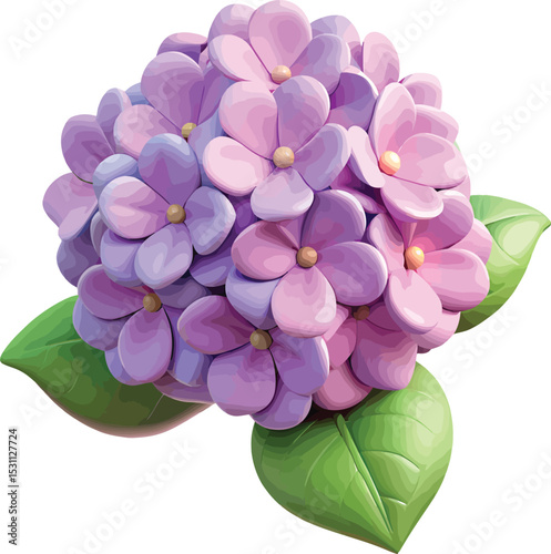 A vibrant cluster of purple hydrangeas, exquisitely detailed, showcases their delicate petals and lush green leaves against a stark white backdrop.