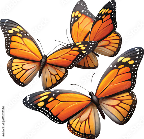 Two vibrant monarch butterflies with outstretched wings, showcasing their intricate patterns and colors against a stark white background