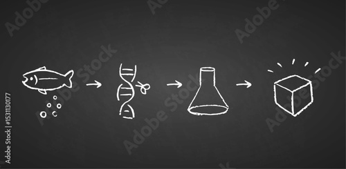 How Salmon DNA (PDRN) Is Made for Skincare and Regeneration. Simple illustration showing the process of extracting PDRN (Polydeoxyribonucleotide) from salmon — from fish eggs, to DNA extraction, to la