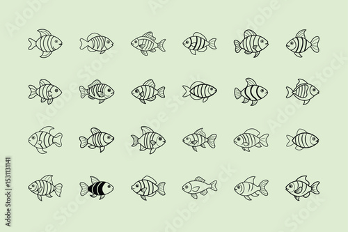 Orange Chromide, aquarium fish, line art illustration