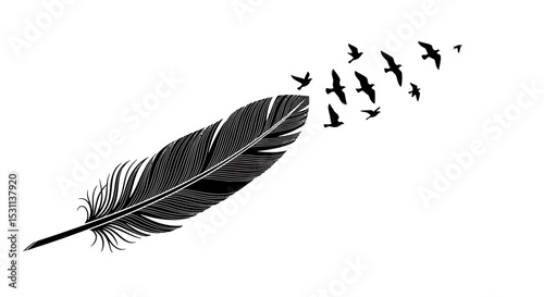 Black Feather with Silhouetted Birds Taking Flight