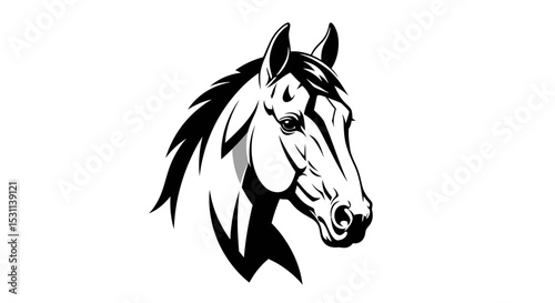 Detailed Black and White Horse Head Profile