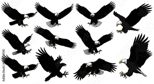 Diverse Bald Eagle Illustrations in Flight
