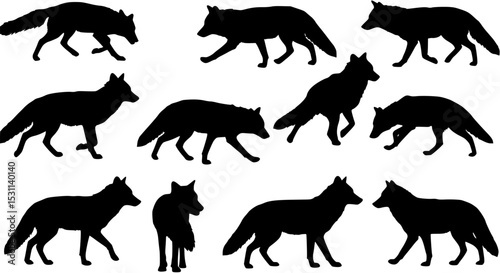 Fox coyote silhouettes set, large pack of vector silhouette design, isolated white background

