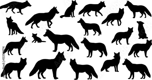 Fox coyote silhouettes set, large pack of vector silhouette design, isolated white background
