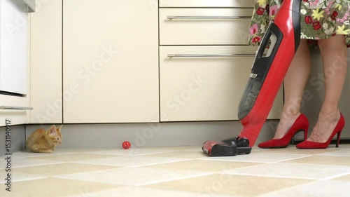 Yellow kitten is playing on the floor, getting in the way of a woman trying to vacuum