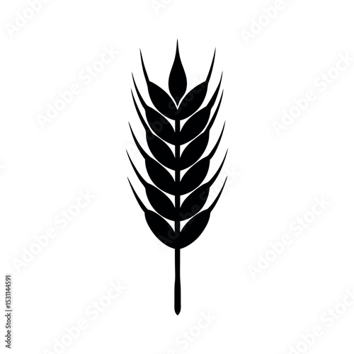 spelt