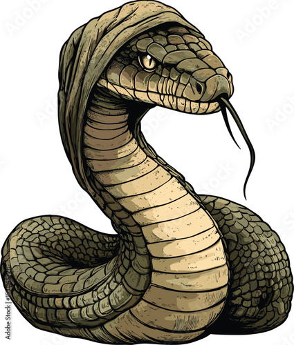 snake on white background